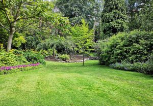 Optimiser l'expérience du jardin à Solemont